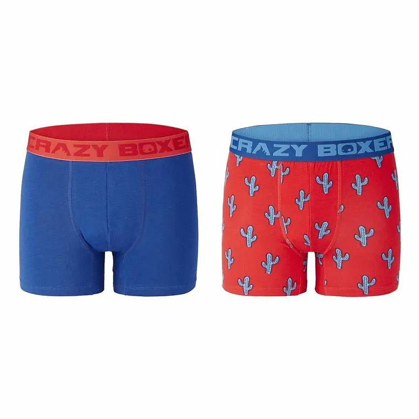Boxer Crazy Boxer Cactus (x2)