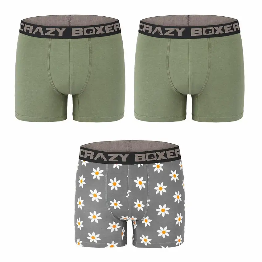 Boxer Crazy Boxer Flower