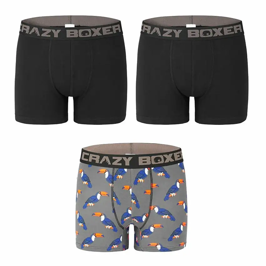 Boxer Crazy Boxer Toucan